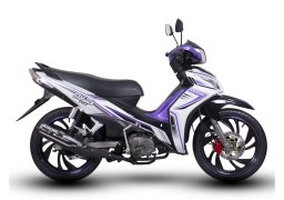 Demak_dvs_3.jpg
