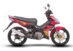 Demak_evo_zr_110_5.jpg