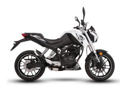 Demak_dxt_250_dart_3.jpg