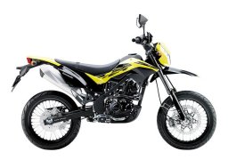 Kawasaki_d_tracker_150_2018_2.jpg