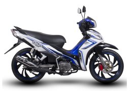 Demak_dvs_1.jpg