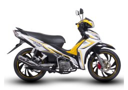 Demak_dvs_4.jpg