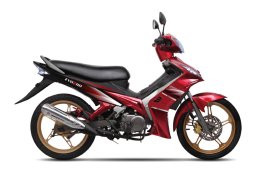 Demak_evo_z_110_3.jpg