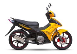 Demak_evo_zr_125z_2.jpg