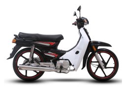 Demak_ex_90_3.jpg
