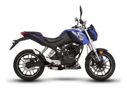 Demak_dxt_250_dart_4.jpg