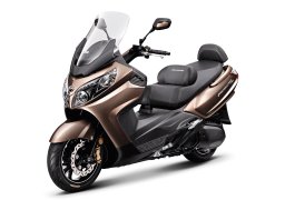 Sym_max_600i_abs_2.jpg