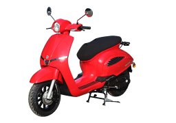 Ajs_insetto_125_1.jpg