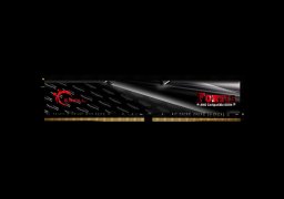 G.Skill-FORTIS-F4-2400C15Q-64GFT-1.jpg