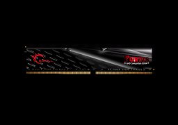 G.Skill-FORTIS-F4-2400C15D-16GFT-1.jpg