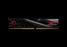 G.Skill-FORTIS F4-2133C15D-16GFT-1.jpg