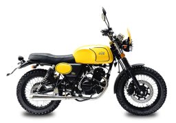 Ajs_tempest_scrambler_125_6.jpg