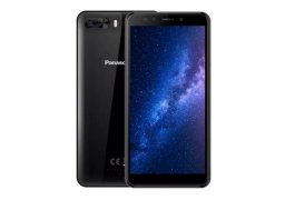 Panasonic_p101_1.jpg