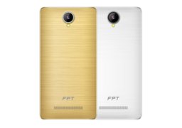 Fpt_x8_3.jpg