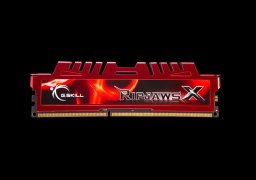 G.Skill-RipjawsX-F3-10666CL9S-4GBXL-1.jpg