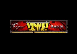 G.Skill-Aegis-DDR3-F3-1333C9D-16GISL-1.jpg