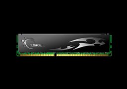 G.Skill-ECO-F3-12800CL9D-4GBECO-1.jpg