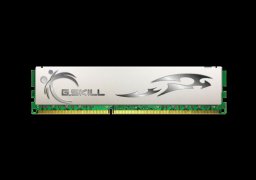 G.Skill-ECO-F3-10666CL8D-4GBECO-1.jpg
