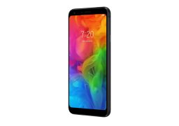 Lg_q7_3.jpg