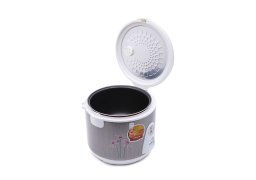 Daiichi-DC-RC18ETS-3.jpg