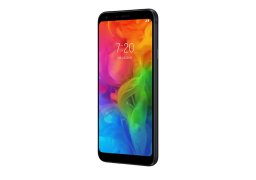 Lg_q7_3.jpg