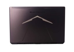 Eluktronics-Pro-X-P950HR-3.jpg