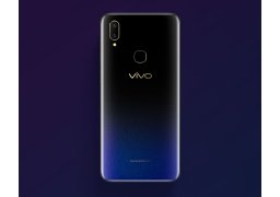 Vivo_v11i_3.jpg