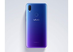 Vivo_v11i_4.jpg