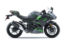 Kawasaki_ninja_400_abs_2019_2.jpg
