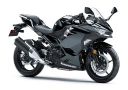 Kawasaki_ninja_400_abs_2019_1.jpg