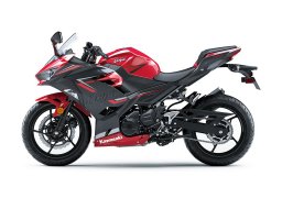 Kawasaki_ninja_400_abs_2019_3.jpg