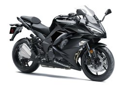 Kawasaki_ninja_1000_abs_2019_1.jpg