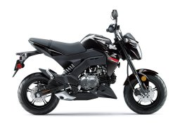 Kawasaki_z125_pro_2019_2.jpg
