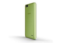 Gigaset_gs100_8.jpg