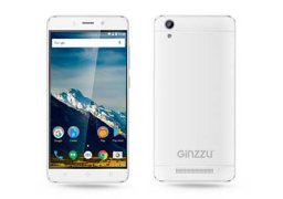 Ginzzu_s5021_1.jpg