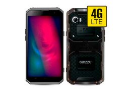Ginzzu_rs97d_1.jpg