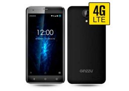 Ginzzu_s5510_1.jpg