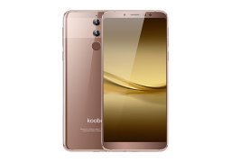 Koobee_f2_1.jpg
