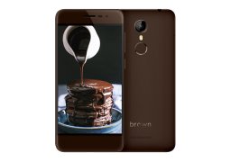 Ark_brown_1_1.jpg