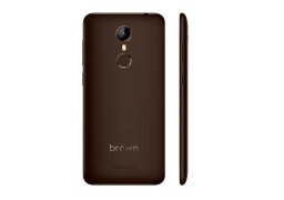 Ark_brown_1_2.jpg