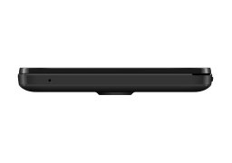 Irbis_sp21b_5.jpg