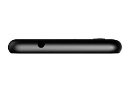 Irbis_sp453_4.jpg