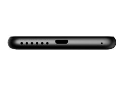 Irbis_sp453_5.jpg