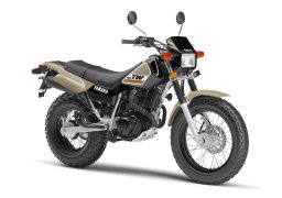 Yamaha_tw200_2020_1.jpg
