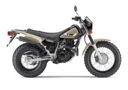 Yamaha_tw200_2020_2.jpg