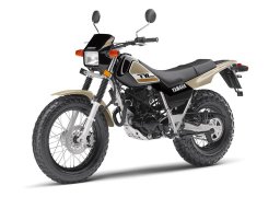 Yamaha_tw200_2020_3.jpg