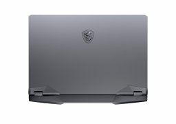Msi_ge66_raider_10sgs_5.jpg