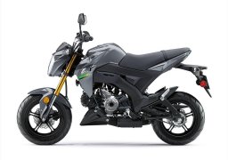 Kawasaki_z125_2020_2.jpg