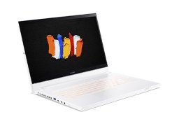 Acer_conceptd_7_ezel_pro_cc715_91p_x1xb_2.jpg