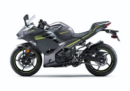 Kawasaki_ninja_400_abs_2021_3.jpg